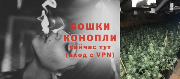 гашик Белоозёрский