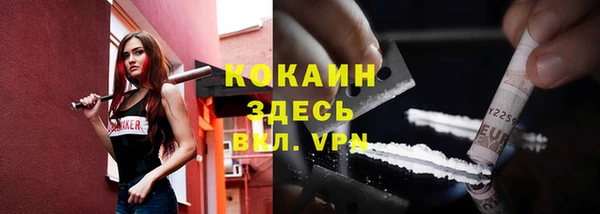 гашик Белоозёрский