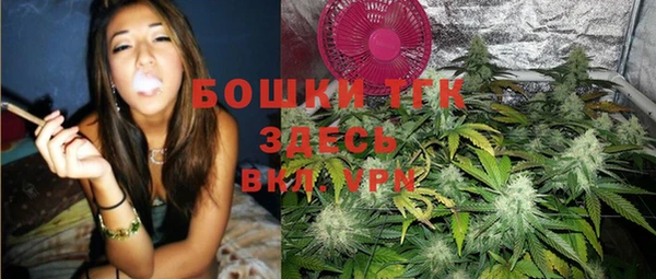 гашик Белоозёрский