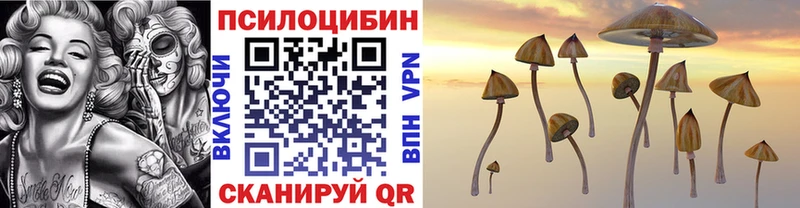 Галлюциногенные грибы Psilocybe  Великий Устюг 